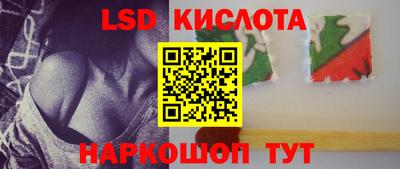 spice Ярославль