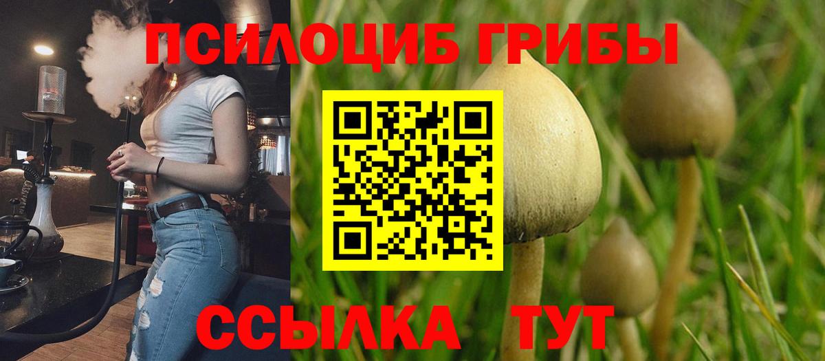 Галлюциногенные грибы мухоморы  Вход с VPN  Галлюциногенные грибы прущие грибы  Дмитров 